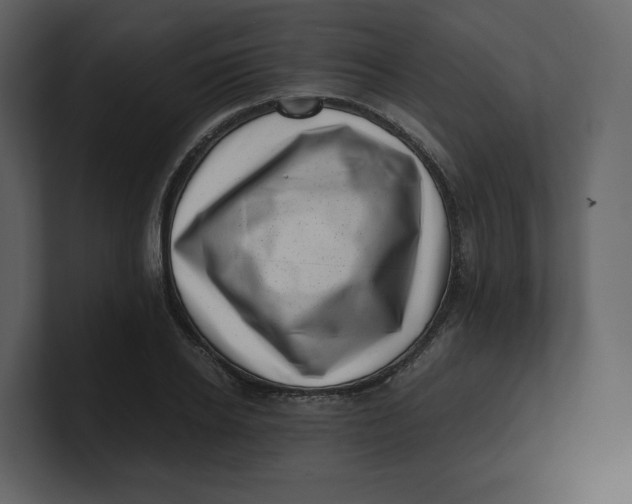 X0000100930934200807151241