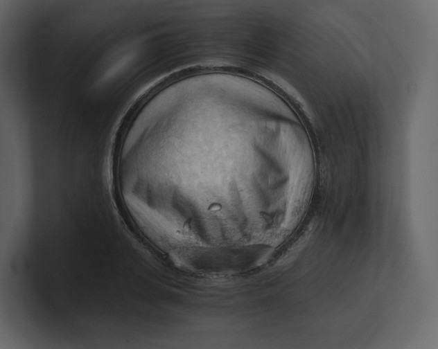 X0000100930935200807151241