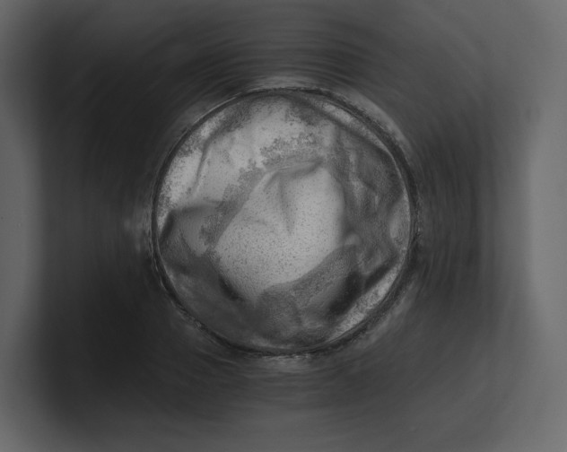 X0000100930937200807151241