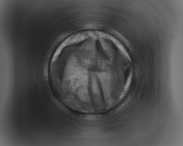 X0000100930938200807151241