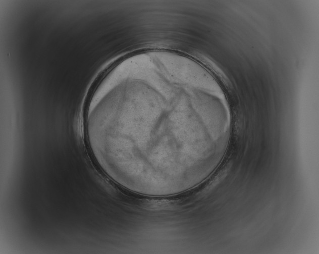 X0000100930940200807151241