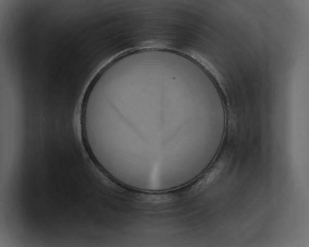 X0000100930941200807151241