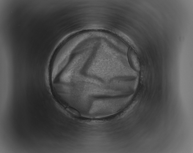 X0000100930942200807151241