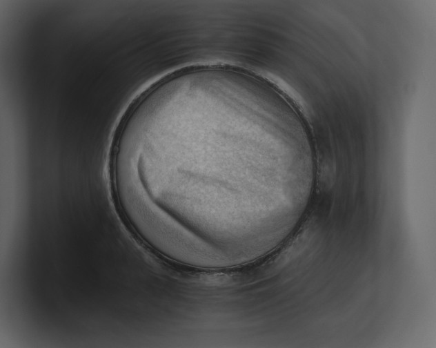 X0000100930943200807151241