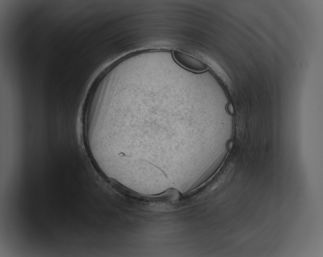 X0000100930944200807151241