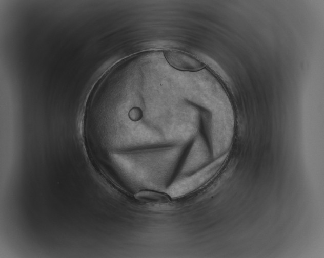 X0000100930946200807151241