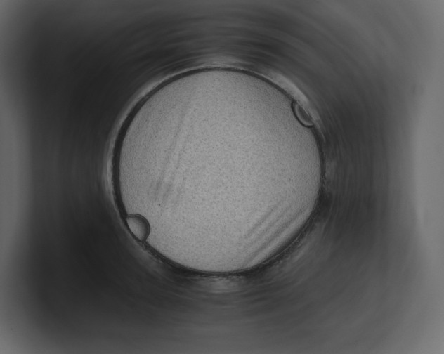 X0000100930947200807151241