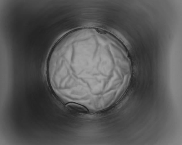 X0000100930948200807151241