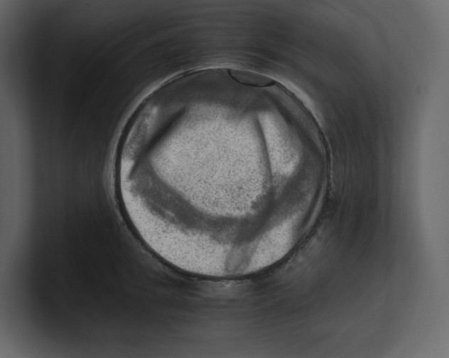 X0000100930949200807151241