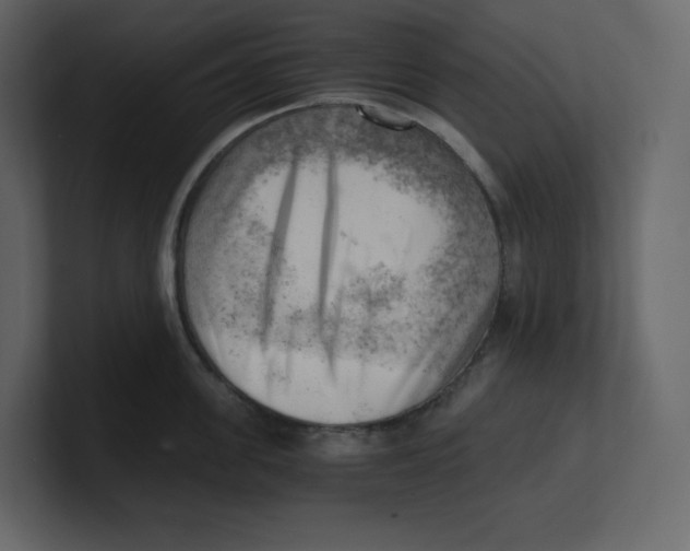 X0000100930955200807151241