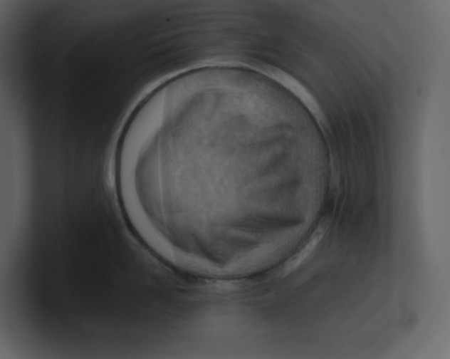 X0000100930958200807151241