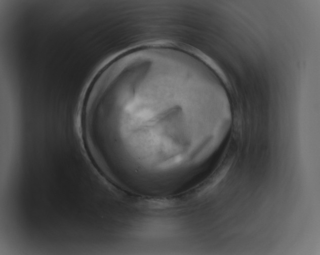 X0000100930959200807151241