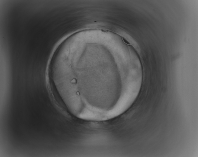 X0000100930960200807151241