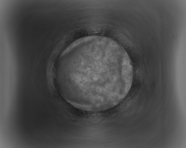 X0000100930961200807151240