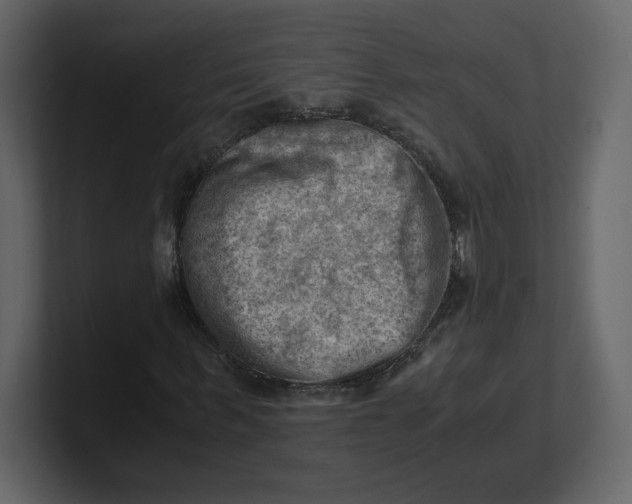 X0000100930963200807151240