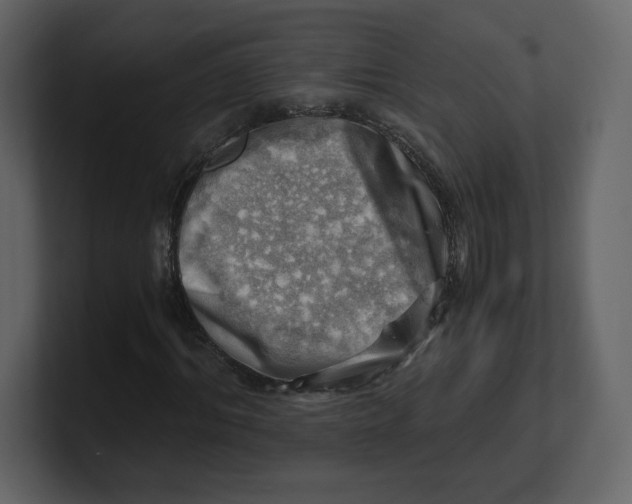 X0000100930964200807151240