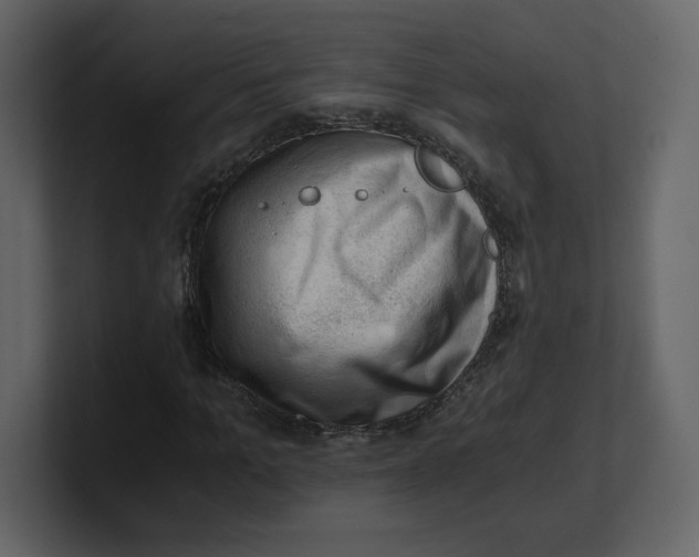 X0000100930965200807151240