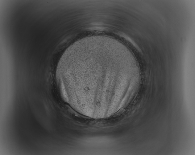 X0000100930967200807151240