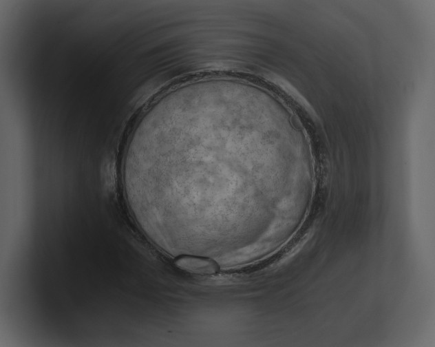 X0000100930969200807151240