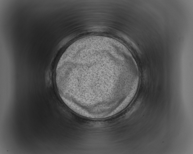 X0000100930970200807151240