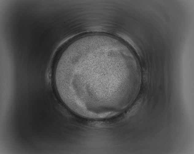 X0000100930971200807151240