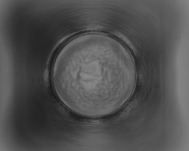 X0000100930975200807151240