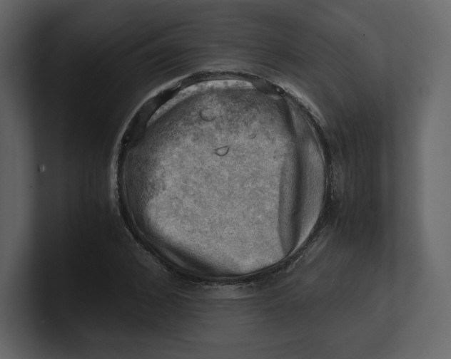 X0000100930976200807151240