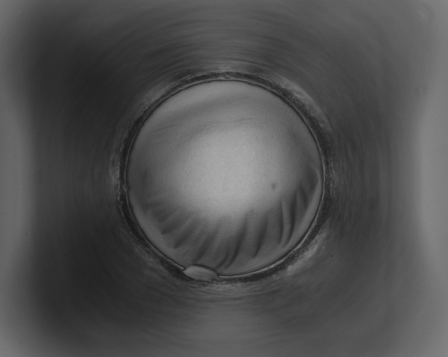 X0000100930977200807151240