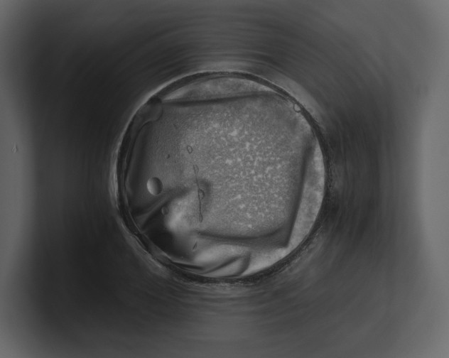 X0000100930980200807151240