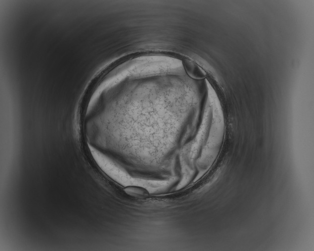 X0000100930981200807151240