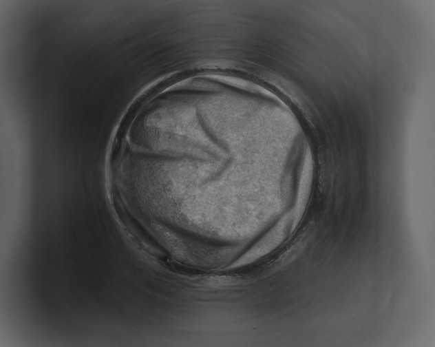 X0000100930984200807151240