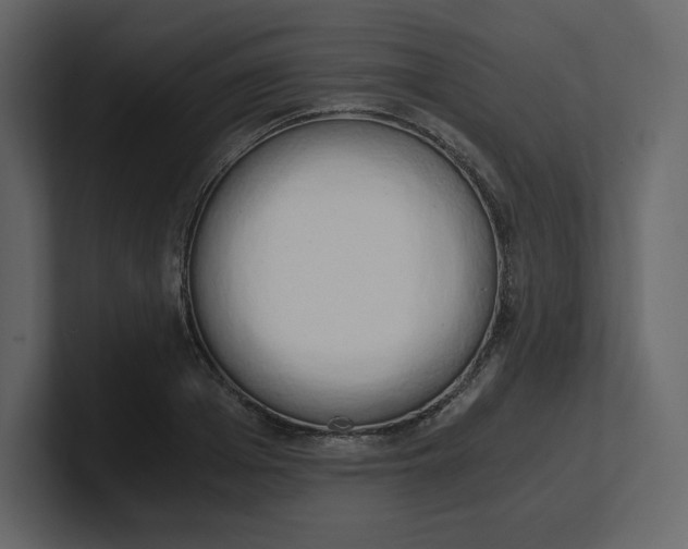 X0000100930985200807151240