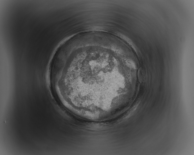 X0000100930987200807151240