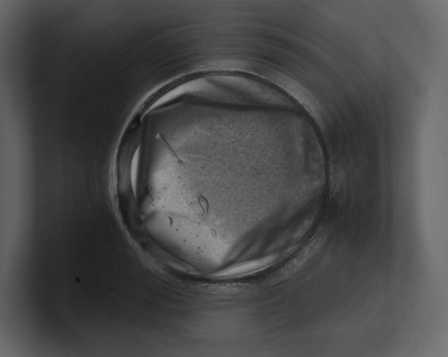 X0000100930988200807151240