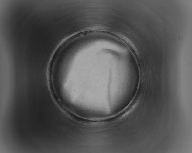 X0000100930989200807151240