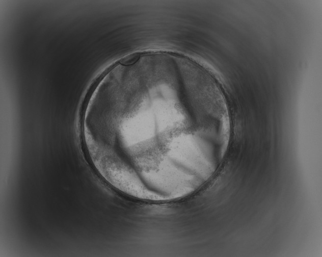 X0000100930990200807151240