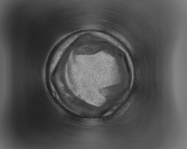 X0000100930991200807151240