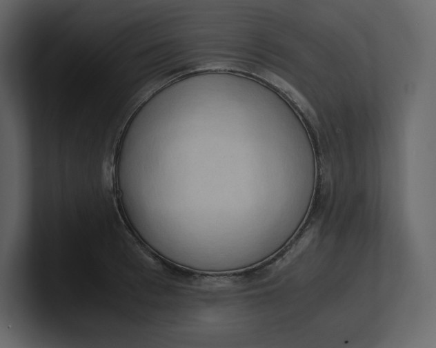 X0000100930993200807151240