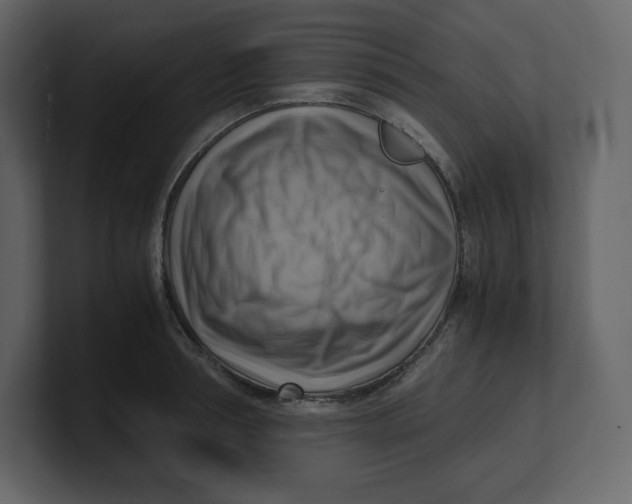 X0000100930994200807151240