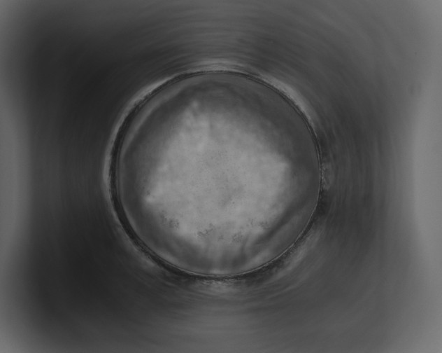 X0000100930995200807151240