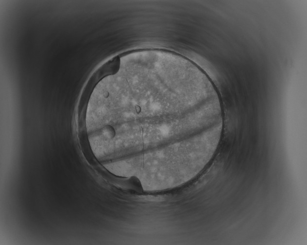 X0000100930996200807151240