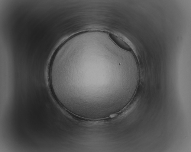 X0000100930997200807151240