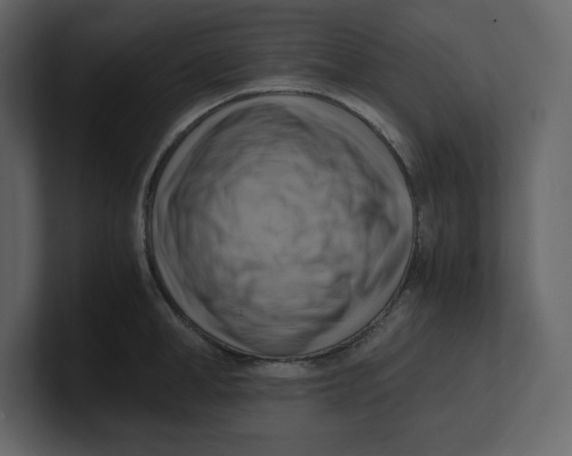 X0000100930998200807151240