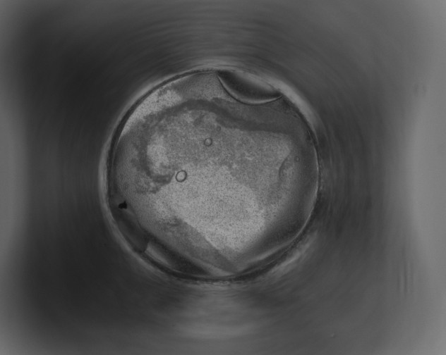 X0000100930999200807151240