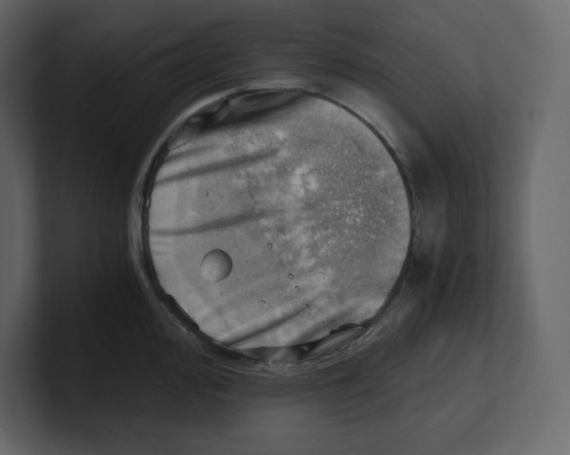 X0000100931000200807151240