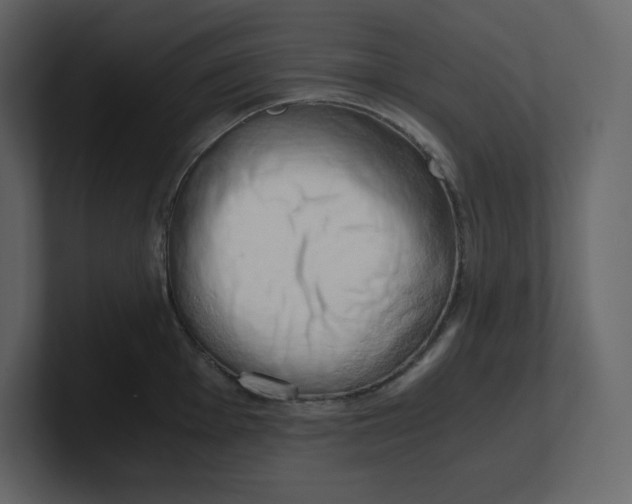 X0000100931001200807151240