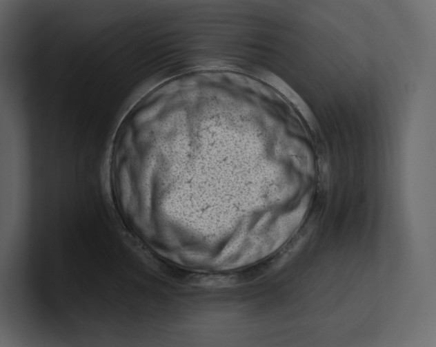 X0000100931002200807151240