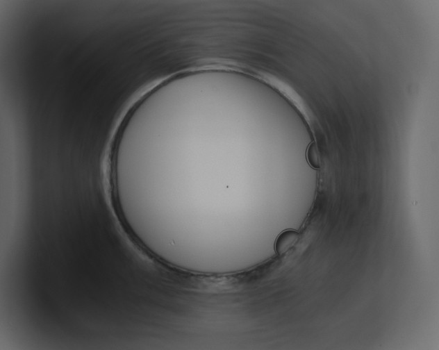 X0000100931003200807151240