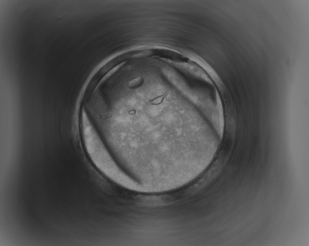 X0000100931004200807151240