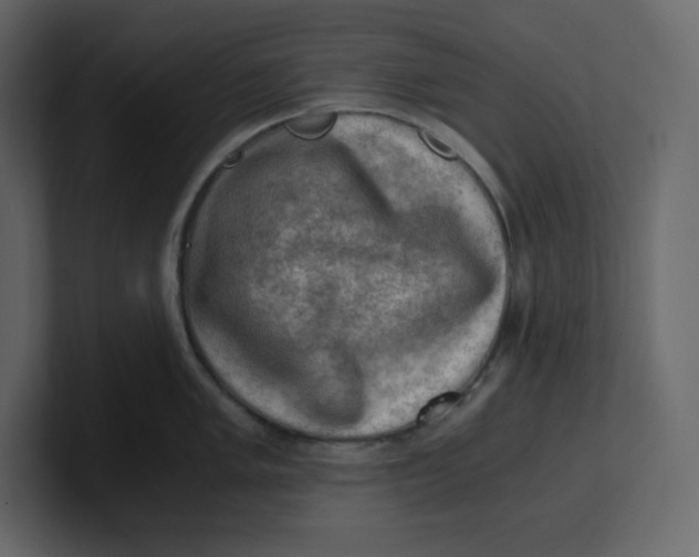 X0000100931005200807151240